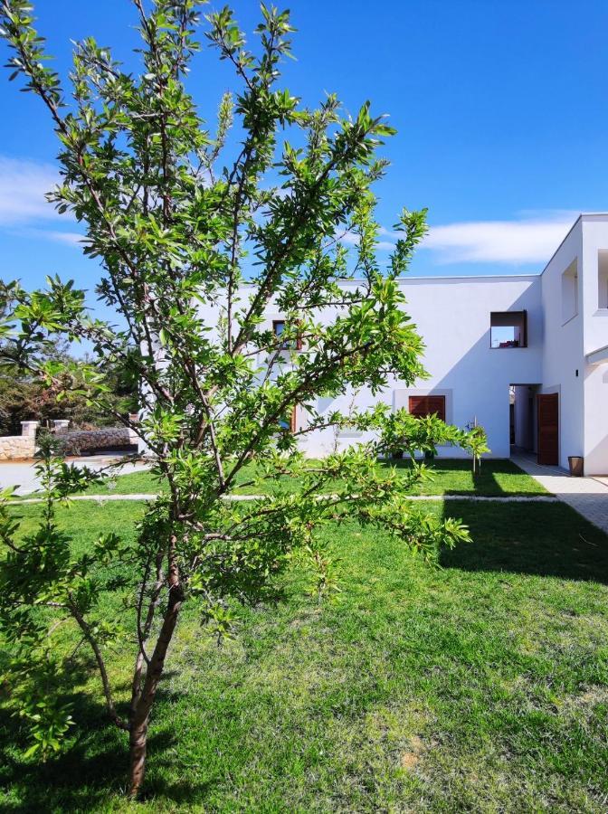 Apartments Leticia Vrsi Kültér fotó