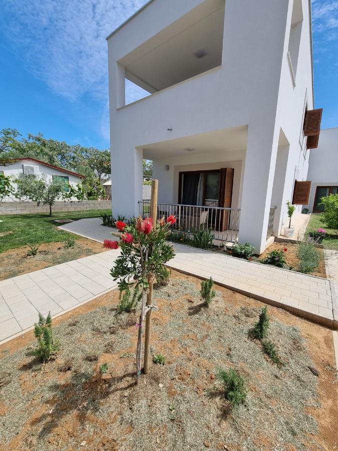 Apartments Leticia Vrsi Kültér fotó